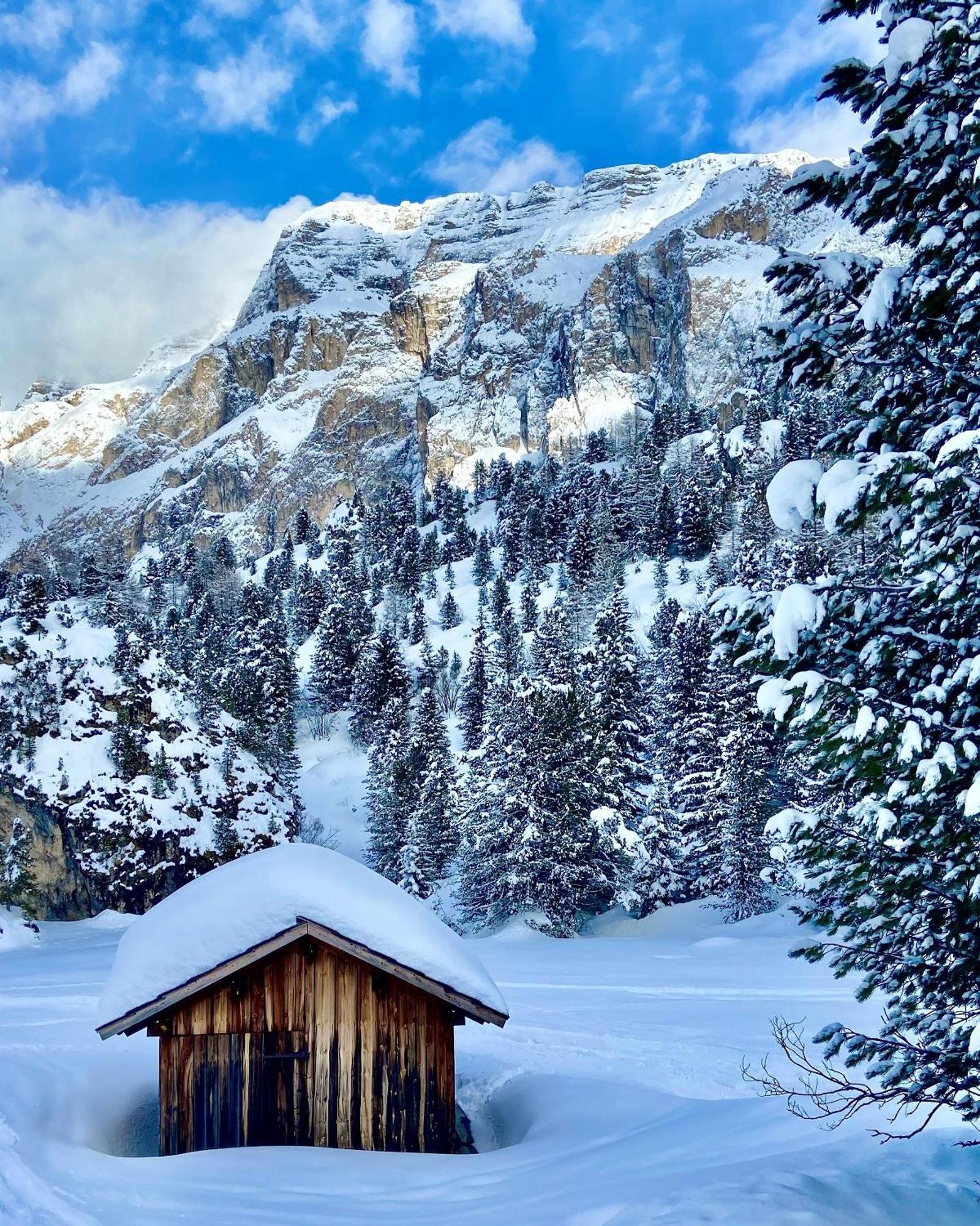Cesa Vedla - Quite And Cozy Alpine Escape Ортизеи Экстерьер фото