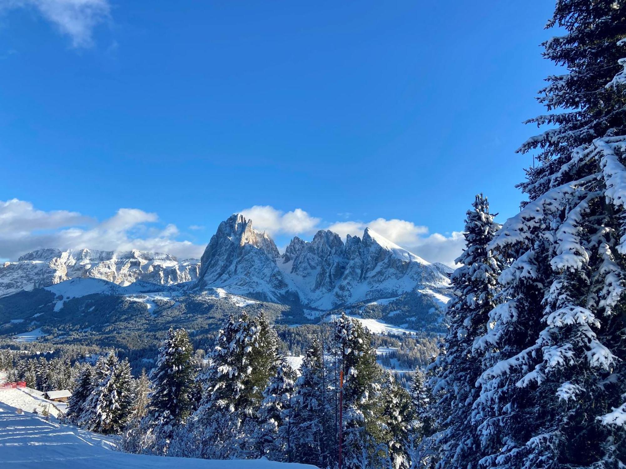 Cesa Vedla - Quite And Cozy Alpine Escape Ортизеи Экстерьер фото