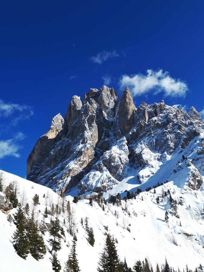 Cesa Vedla - Quite And Cozy Alpine Escape Ортизеи Экстерьер фото