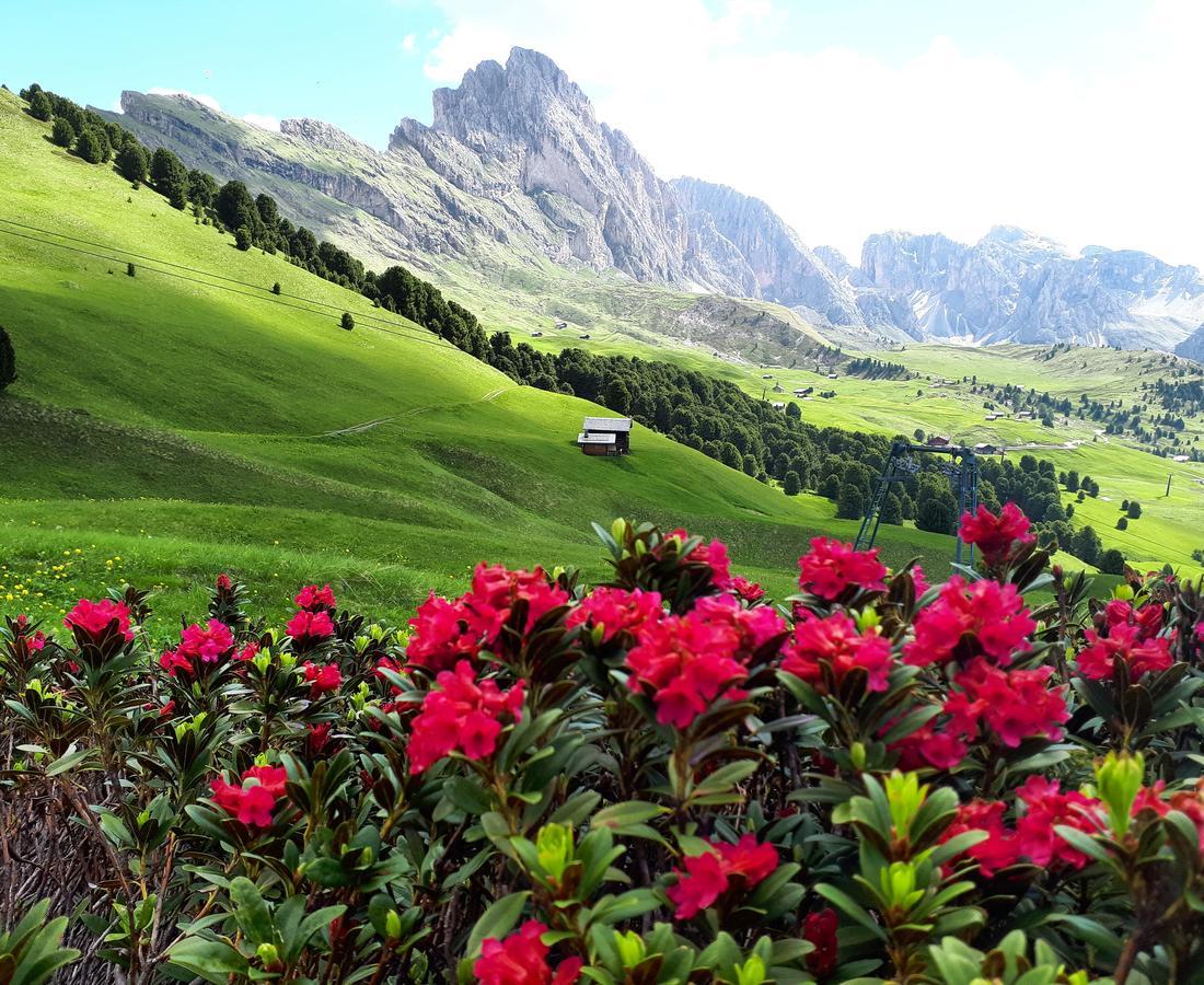 Cesa Vedla - Quite And Cozy Alpine Escape Ортизеи Экстерьер фото